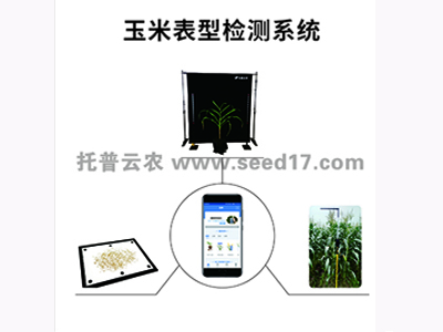 玉米表型检测仪在玉米育种中的应用